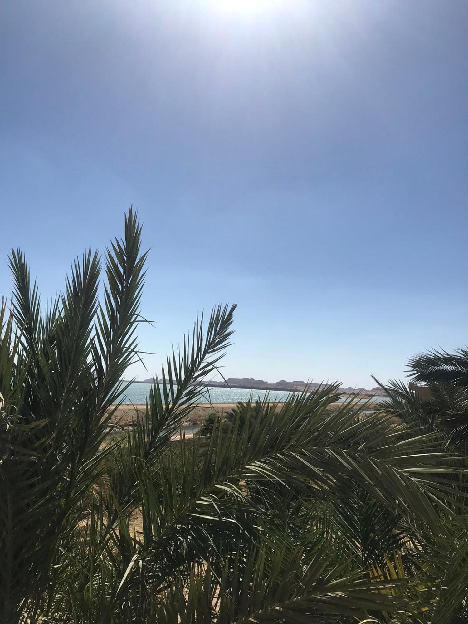 The Nest Hotell Siwa Oasis Eksteriør bilde