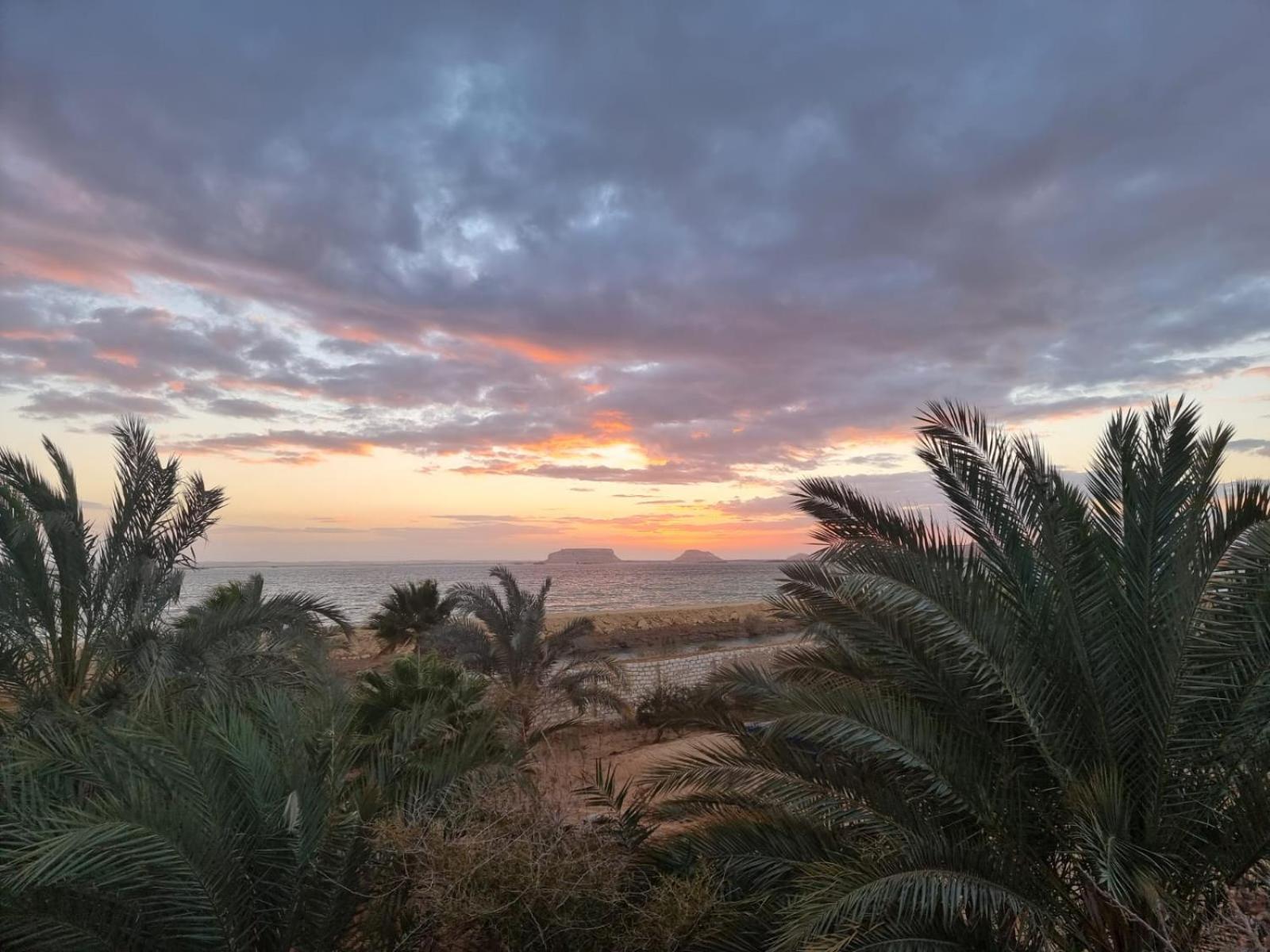 The Nest Hotell Siwa Oasis Eksteriør bilde