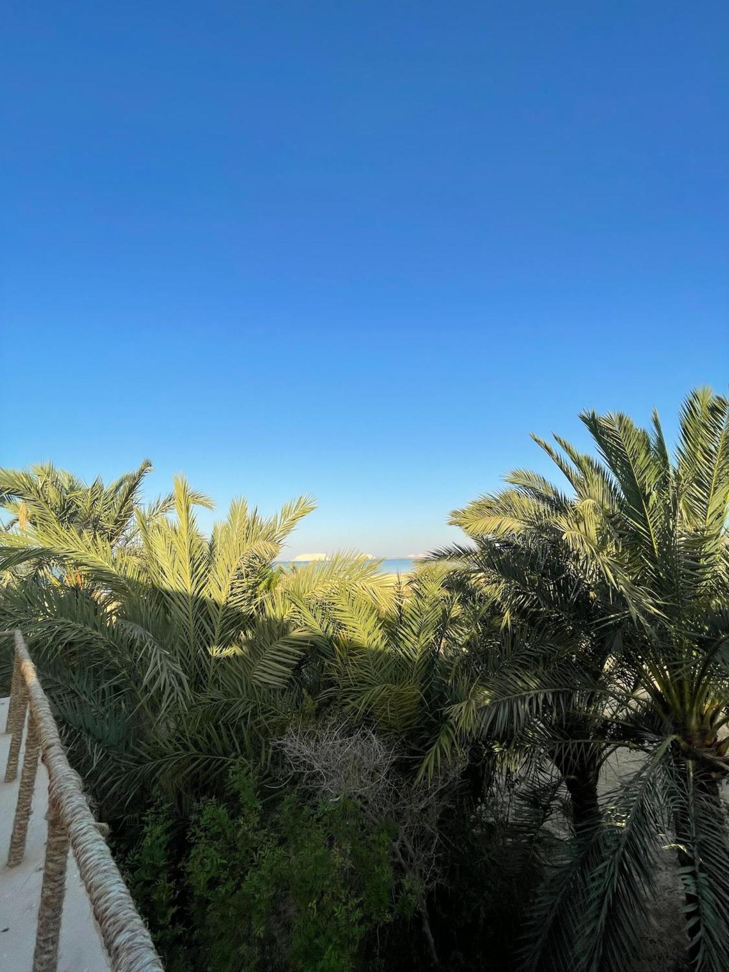 The Nest Hotell Siwa Oasis Eksteriør bilde