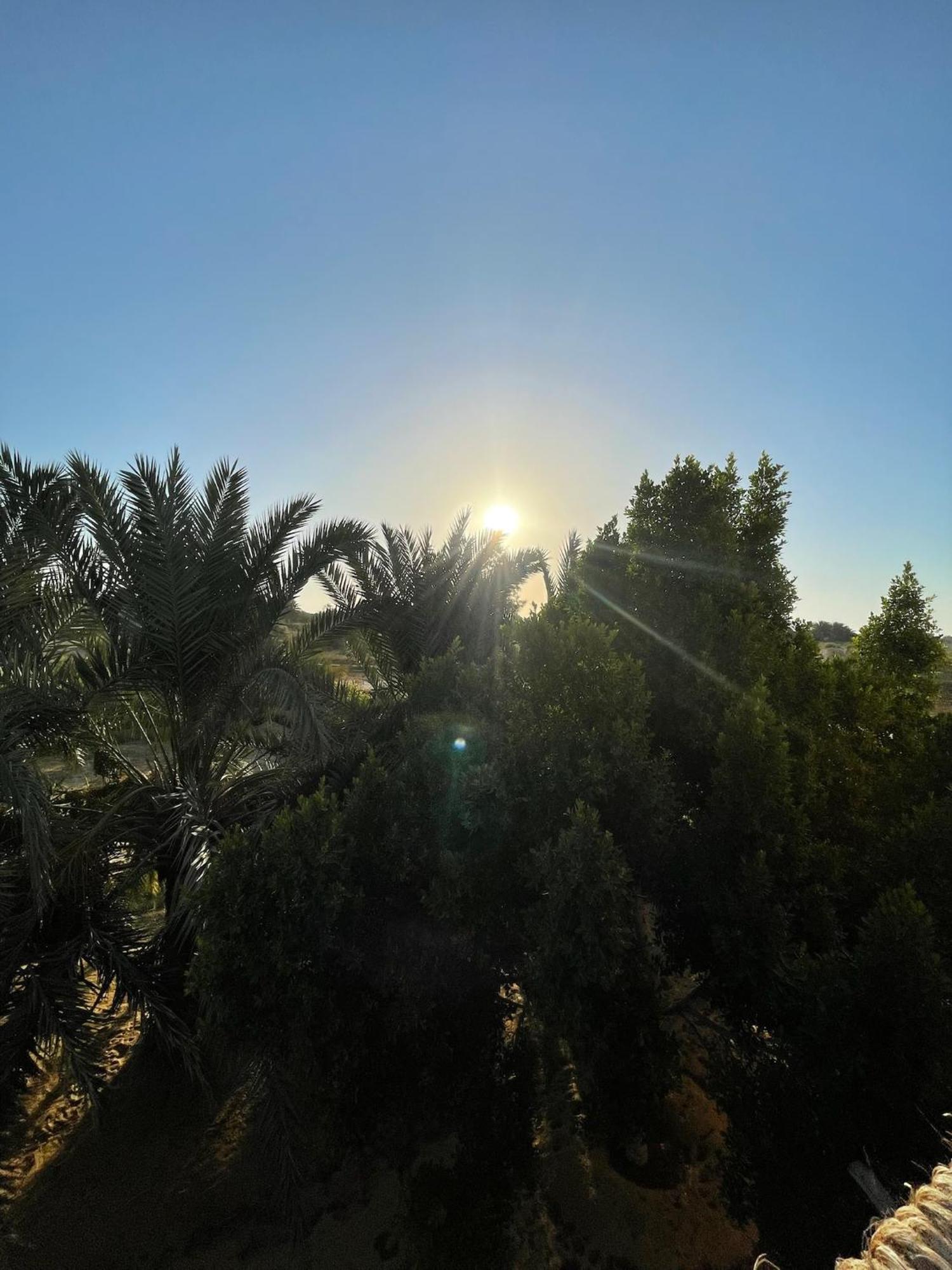 The Nest Hotell Siwa Oasis Eksteriør bilde