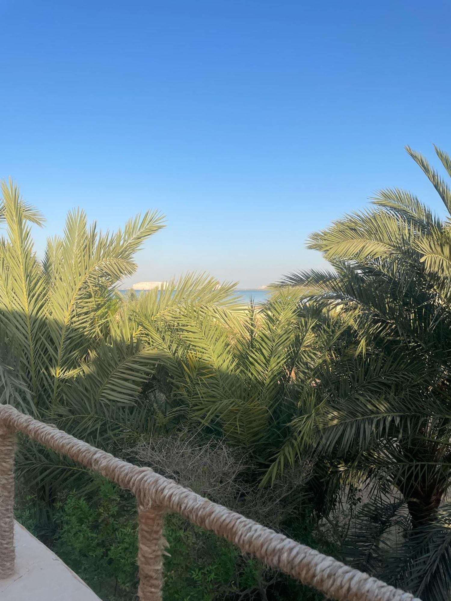 The Nest Hotell Siwa Oasis Eksteriør bilde
