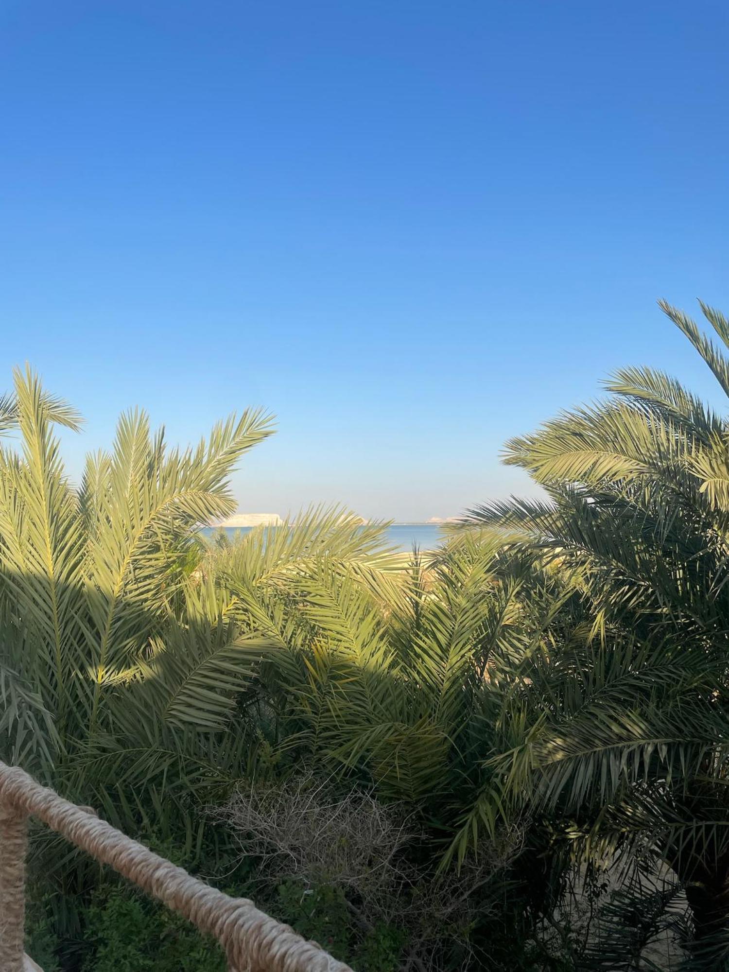 The Nest Hotell Siwa Oasis Eksteriør bilde
